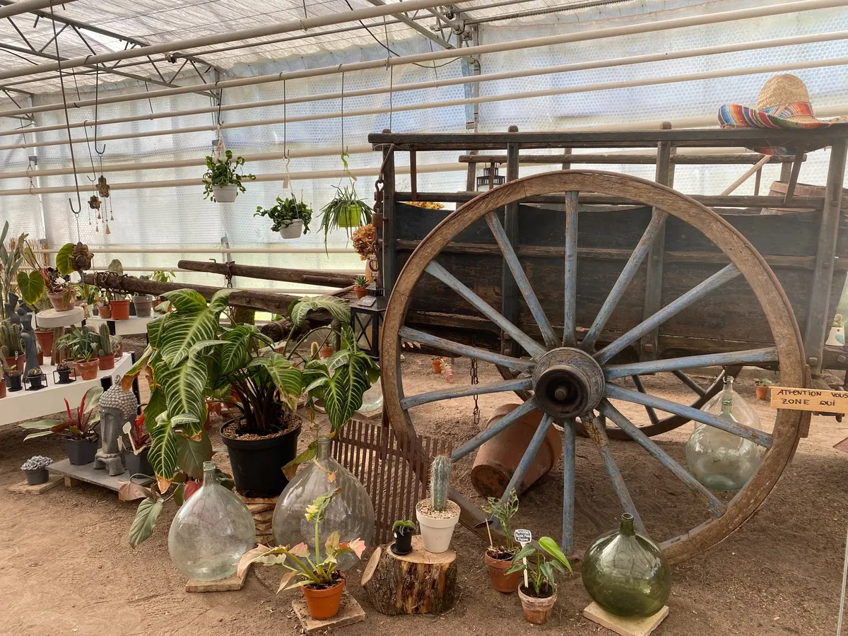 Plantes et décoration autour d’une ancienne charrette dans La Serre de Claire à Pocé-sur-Cisse