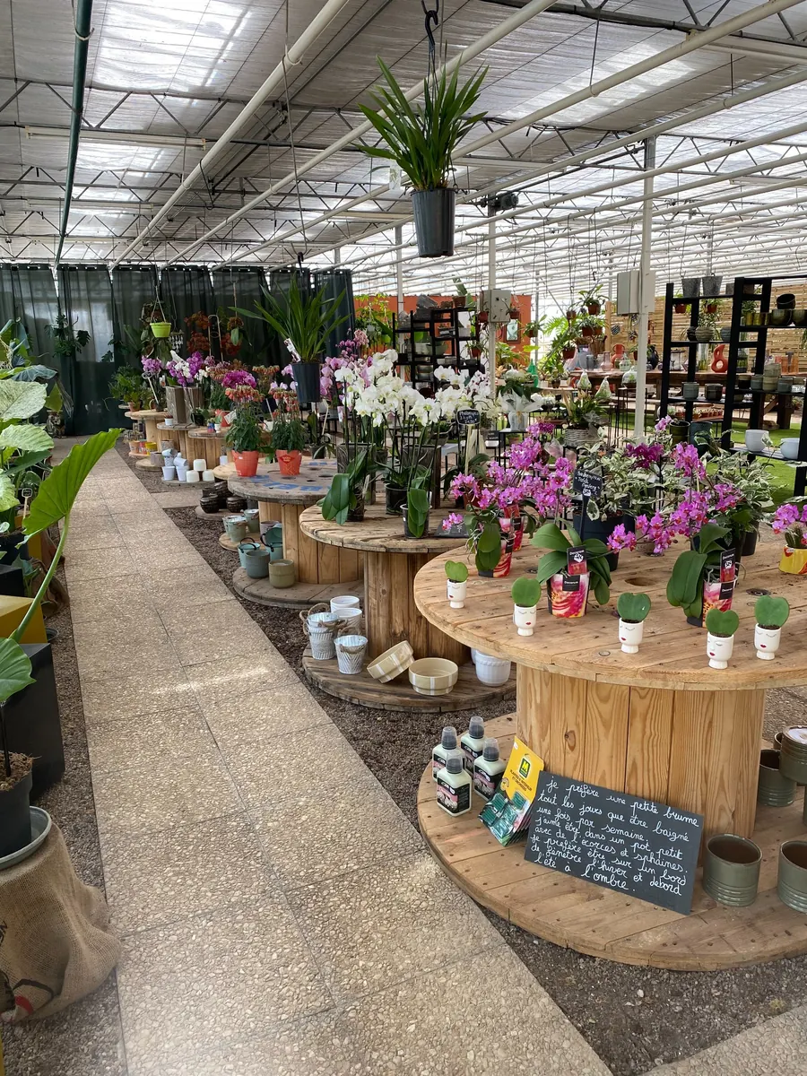 Intérieur de La Serre de Claire à Pocé-sur-Cisse avec plantes, orchidées et décoration